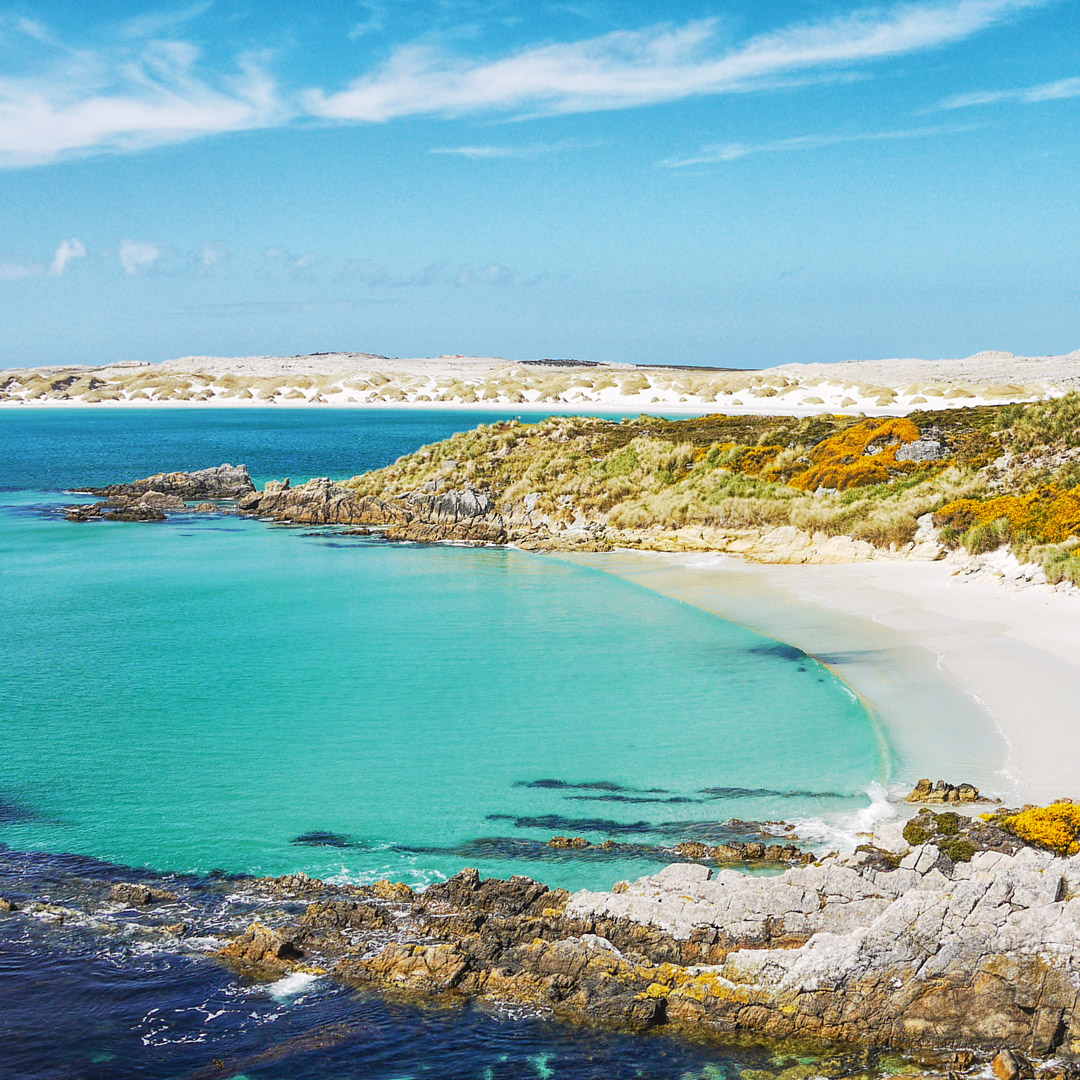 blue waters on the shore of coastal Falkland Islands