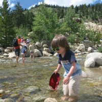 young child wading in shallow water in a national park