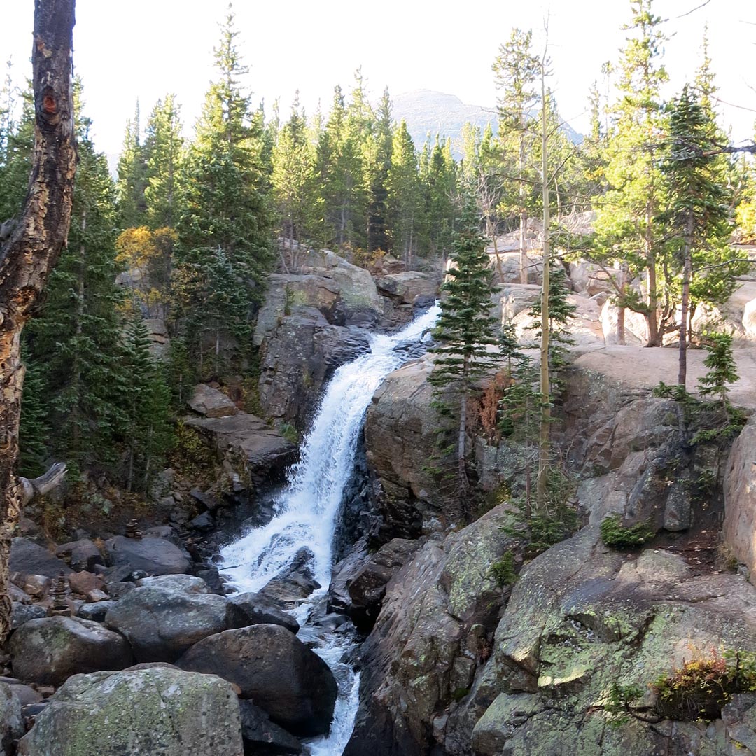 Albert Falls waterfall surrounded by trees