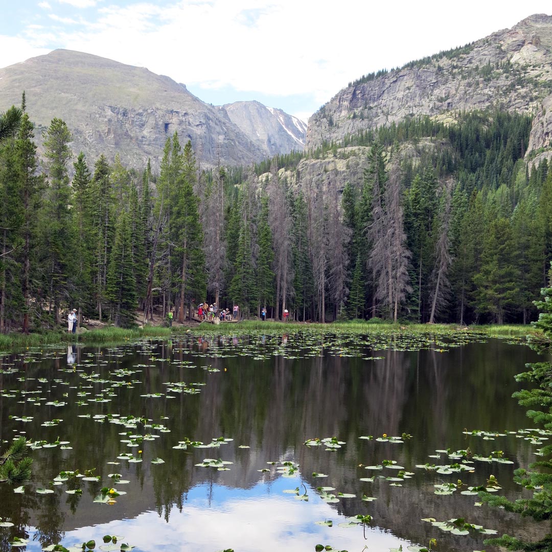 view of mountains and pond lilies on Nymph Lake