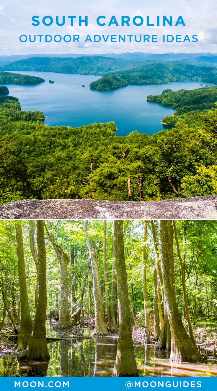 Pinterest graphic with a photo of Lake Jocassee and a cypress forest in South Carolina