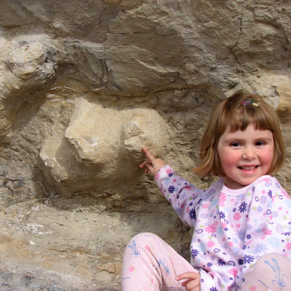 A young girl dressed in pink looks excited by dinosaur prints