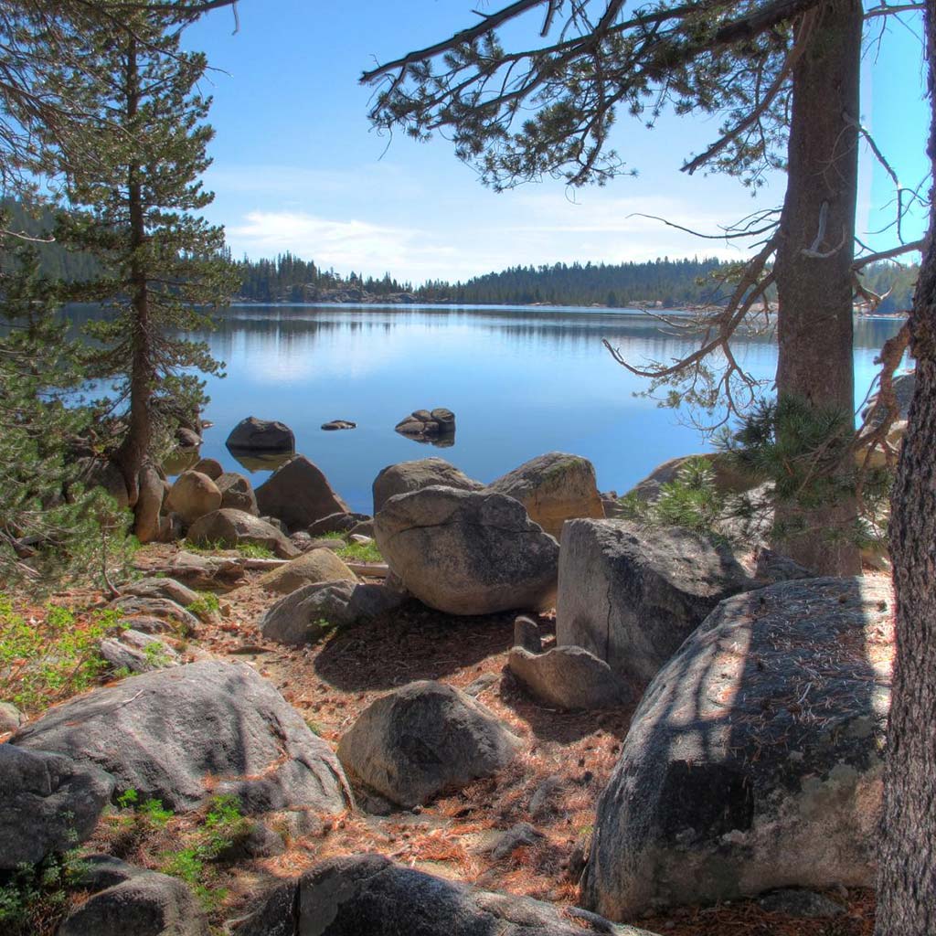 view of rocks and a lake through trees