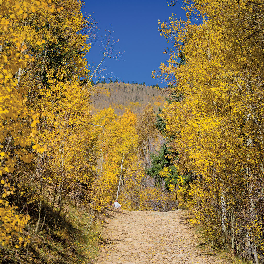 a hiking trail leads through yellow aspen leaves in Santa Fe