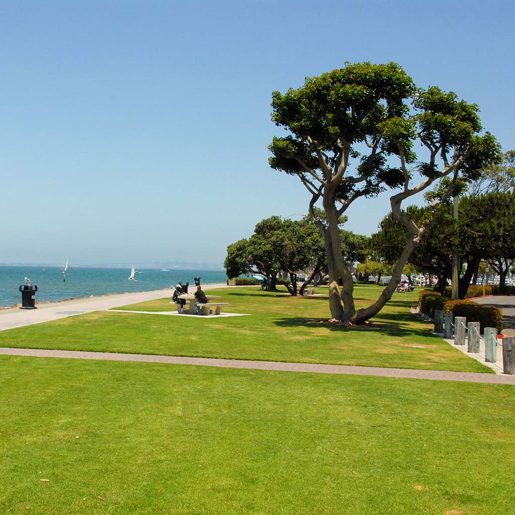 Green manicured lawn with a footpath and picnic table under a tree on the coast of Chula Bista Bayfront Park
