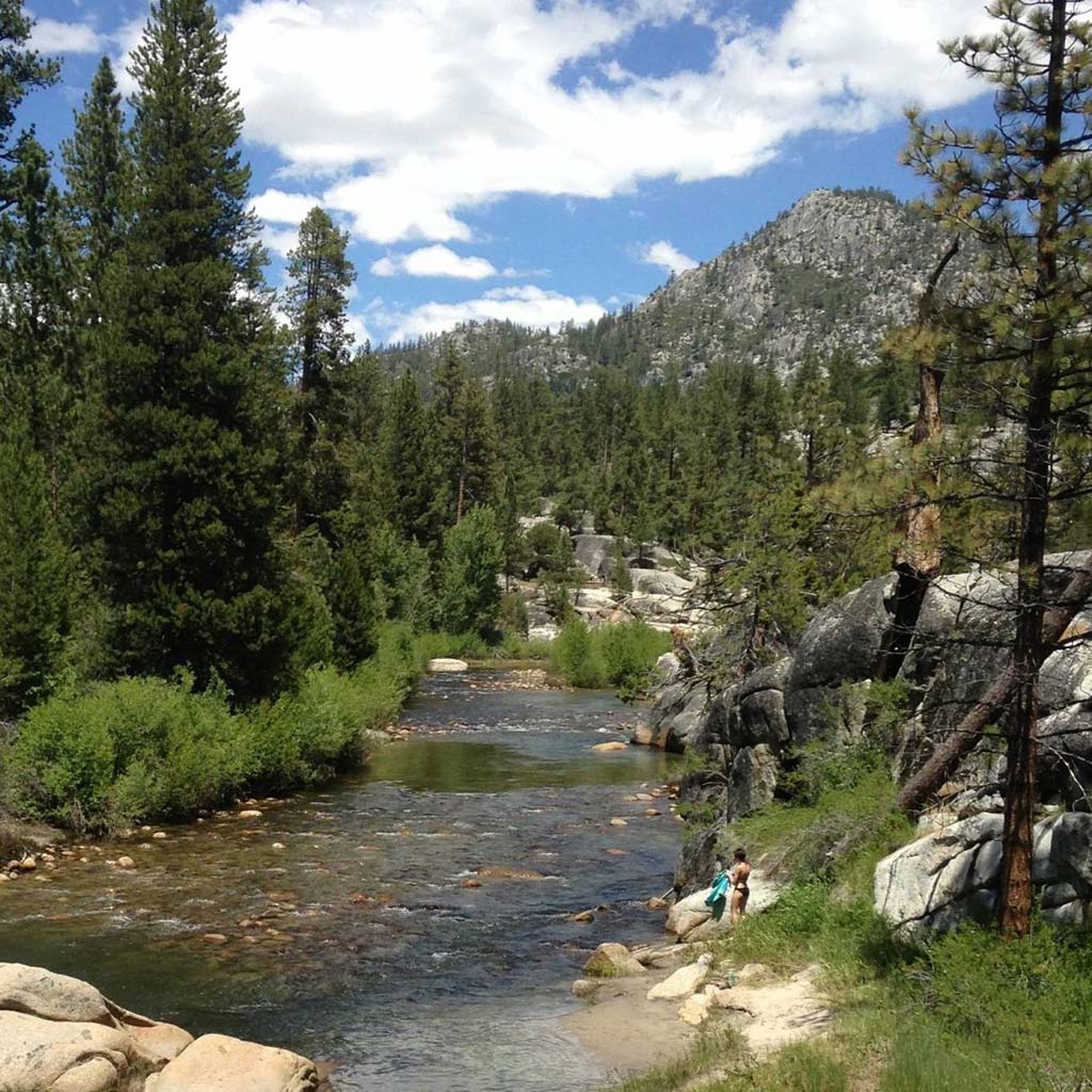 A creek runs through boulders and green trees, a mountain and blue sky in the background