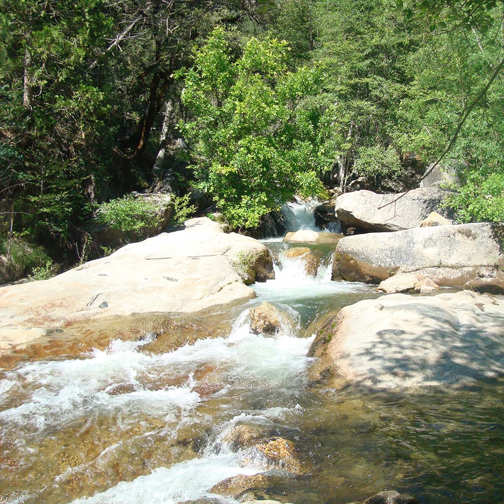 A stream flows over rocks, forming mini waterfalls and pools on its way to Bass Lake