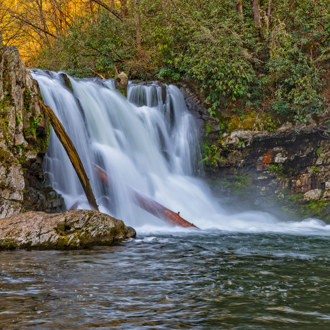 Abrams Falls tumbles into a creek surrounded by trees