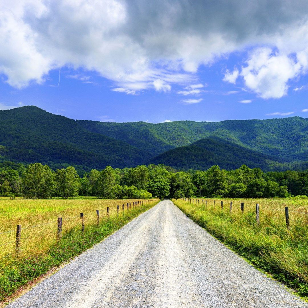 fields surround an unpaved road leading to the mountains in Cades Cove