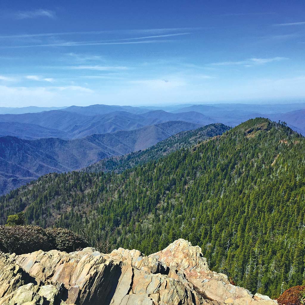 Epic vista of forested hills from atop Mount Le Conte.