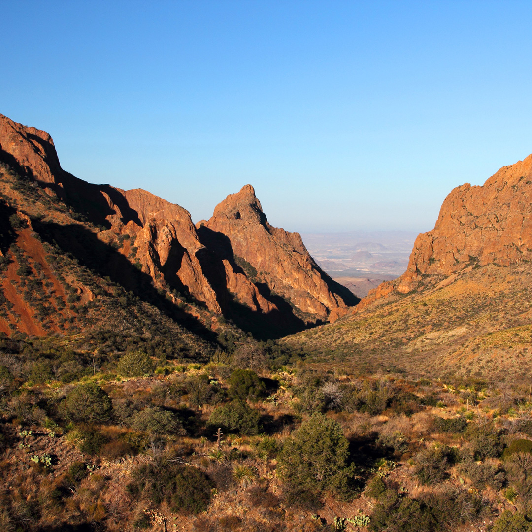 brush and red earth of the Chisos Mountains under a clear blue sky
