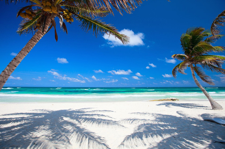 Two coconut palms frame a perfect Caribbean beach in Tulum, Mexico.