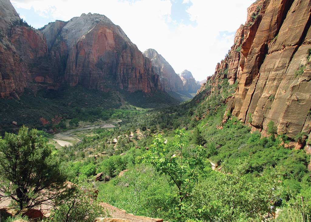 virgin river in the valley of zion