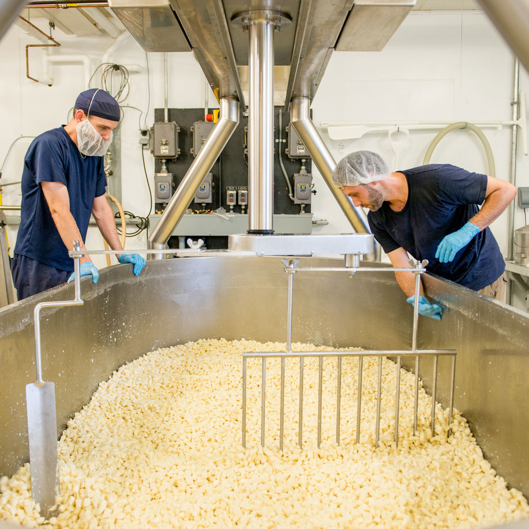 cheesemakers with curds
