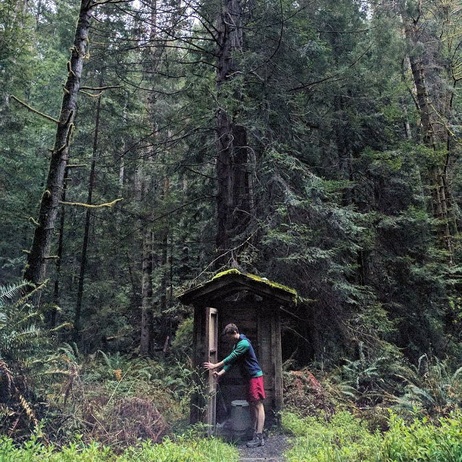A man opens the door of an outhouse which is set underneath tall redwood trees in Van Damme State Park