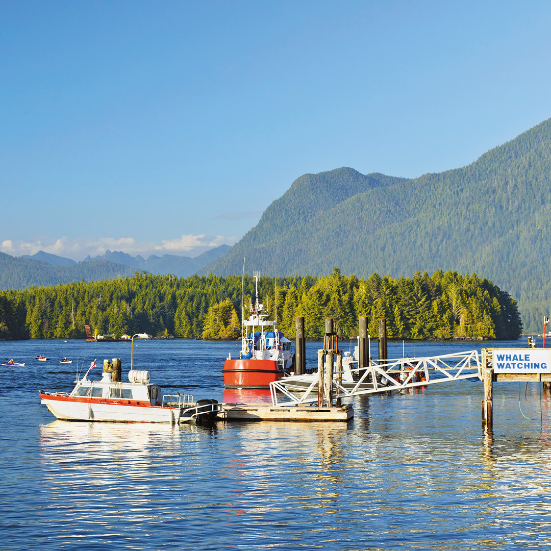 a boat sits on the water in Tofino Harbor