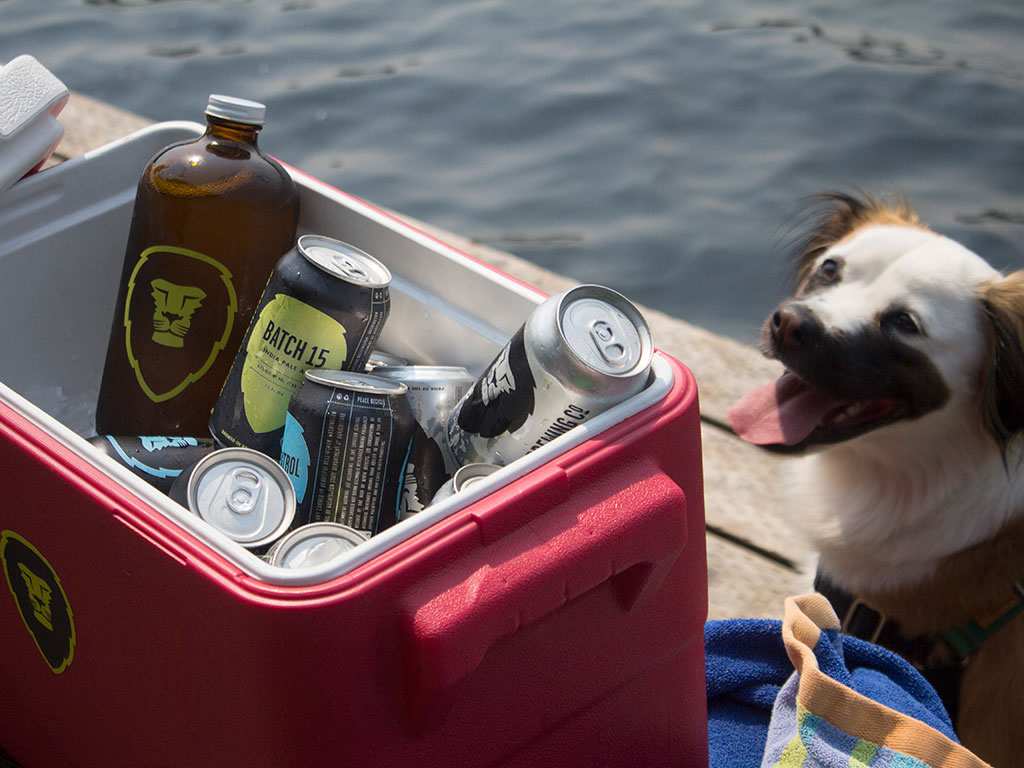 a dog smiles at an ice chest of Aslan Brewing Company beer