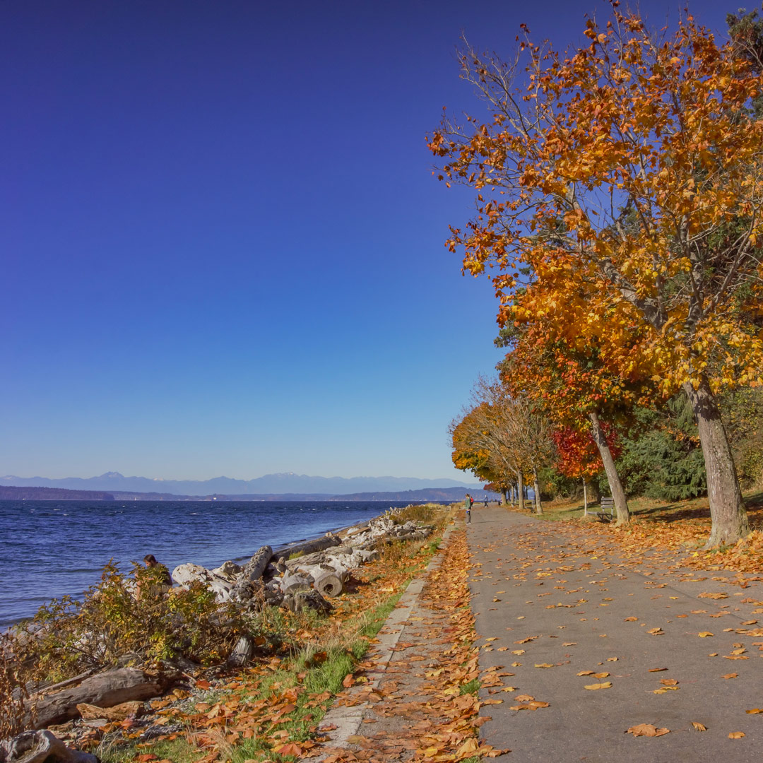 Fall on the Lincoln Park waterfront trail with a distant view of the Olympics