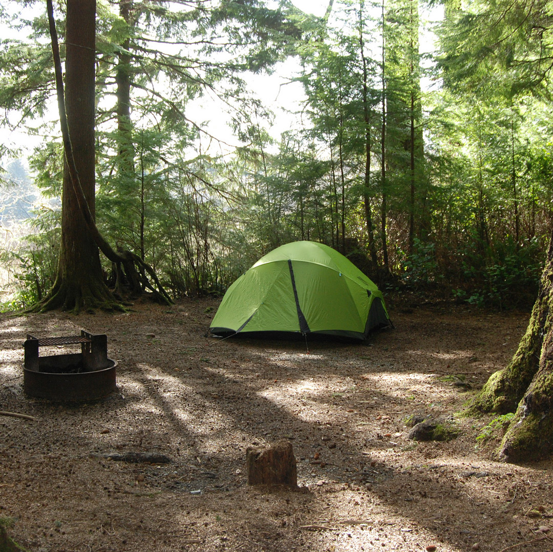 green tent camping in a forest in washington