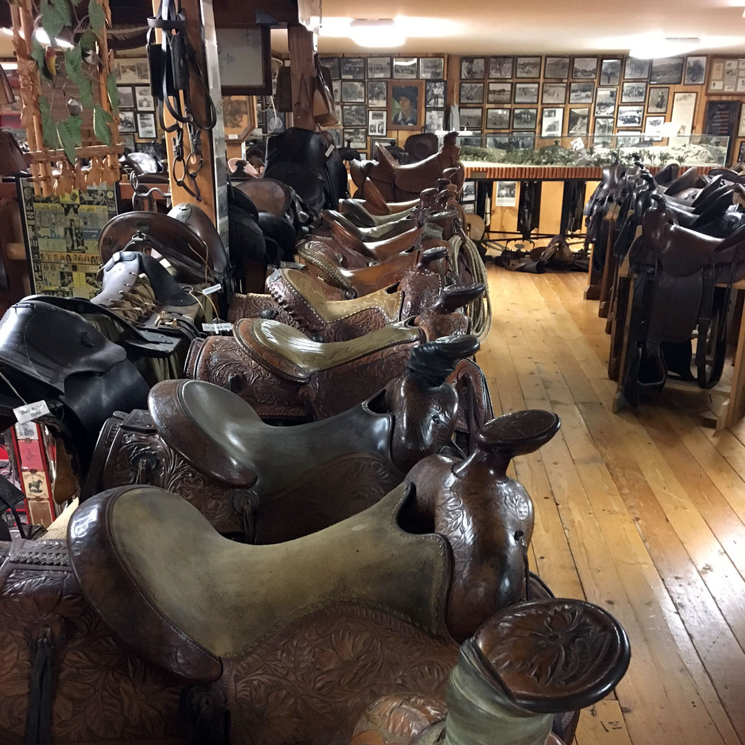 saddles lined up in a store