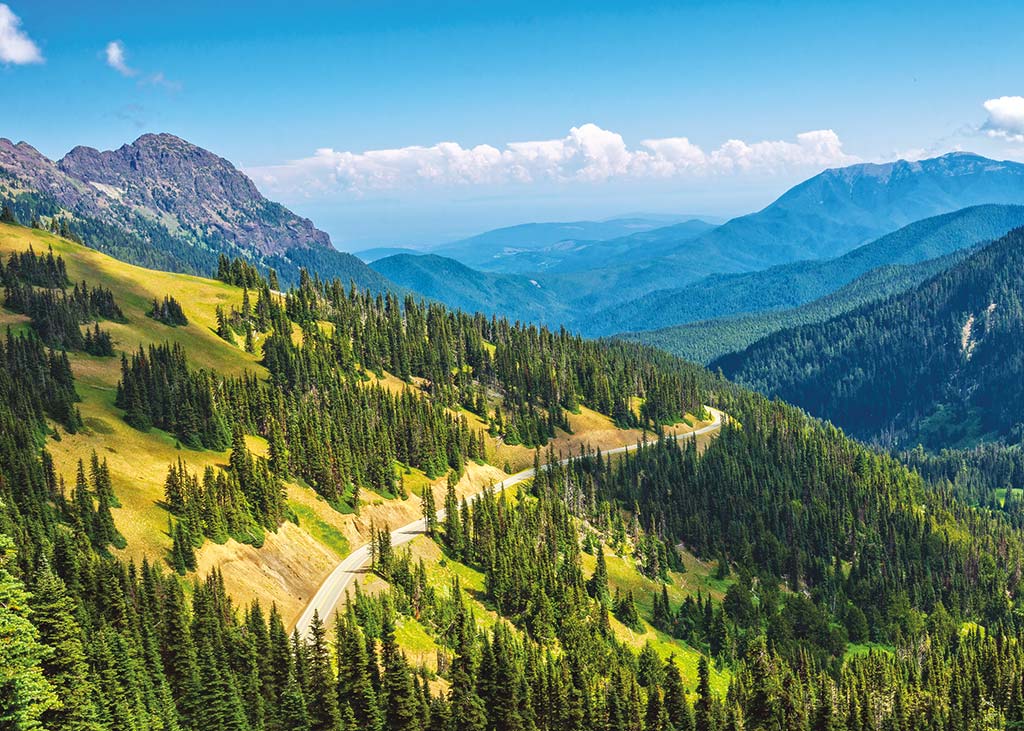 A road through Hurricane Ridge in Olympic National Park.