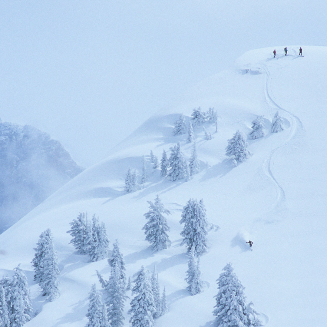 skiers on the snowy slopes of the Tetons