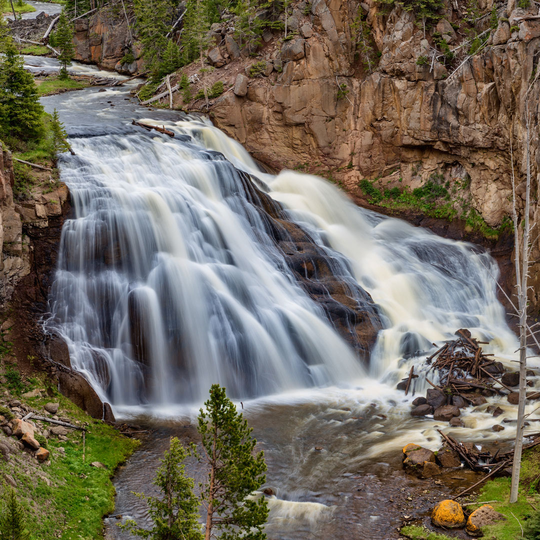waterfall surrounded by rock and trees in yellowstone