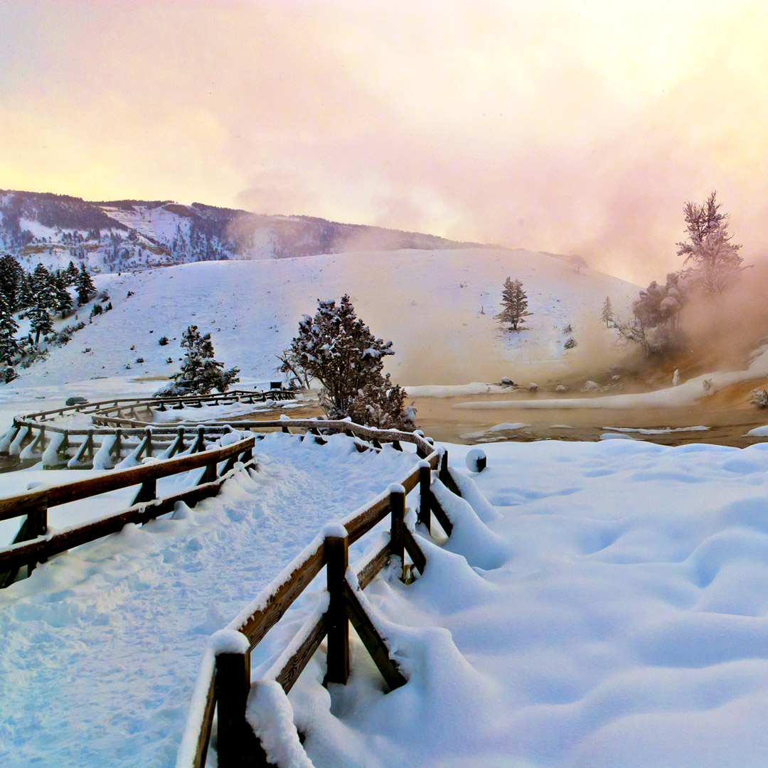 snowy path leading to Mammoth Hot Springs in Yellowstone