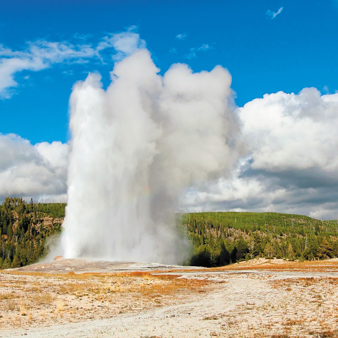 a geyser spewing steam into the air in Yellowstone National Park
