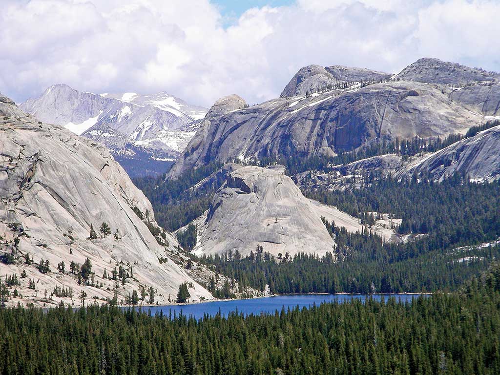 forest and lake under hills and mountains in yosemite