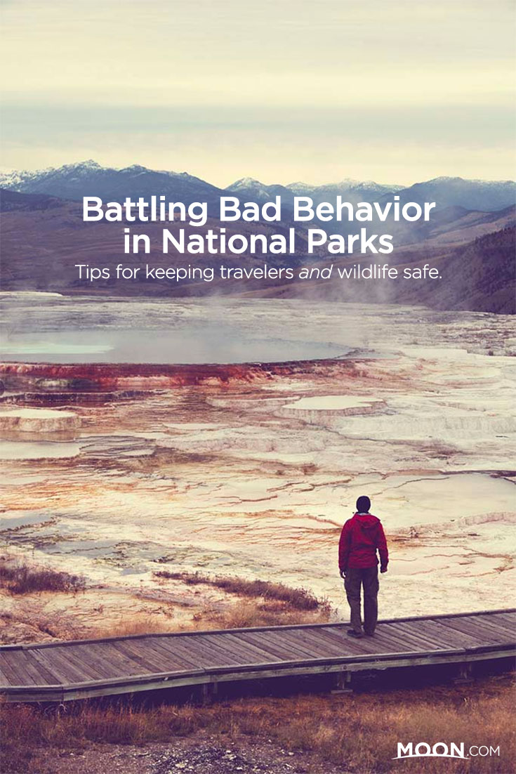 Battling Bad Behavior in National Parks pinterest graphic