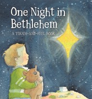 One Night In Bethlehem