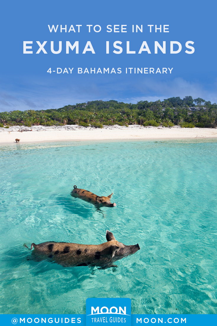Exuma Islands Travel Itinerary Pinterest graphic featuring swimming pigs
