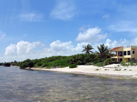 shoreline of xcalak mexico