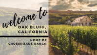 Welcome to Oak Bluff, CA from the creation of A.J. Pine