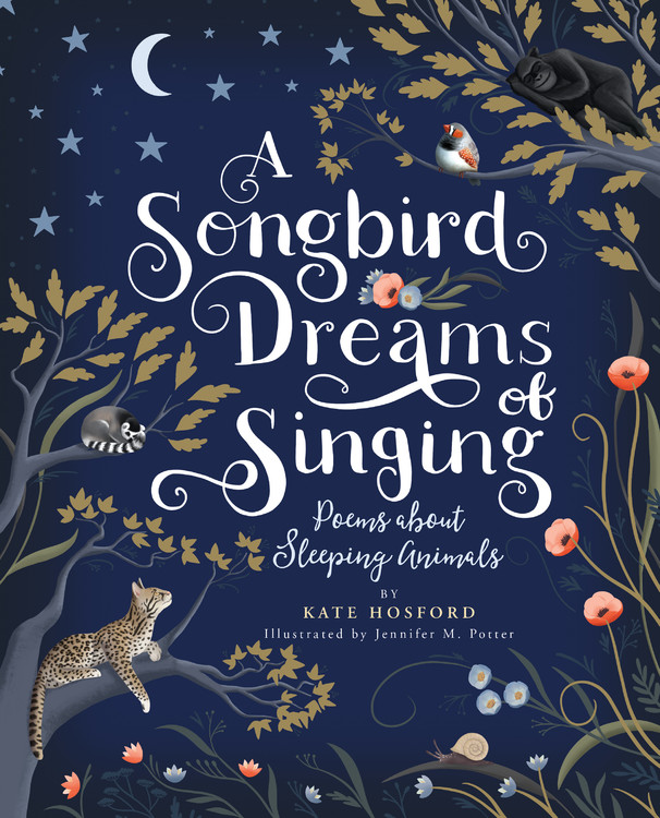 A Songbird Dreams of Singing by Kate Hosford | Hachette Book Group