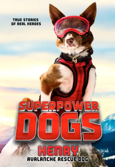 Superpower Dogs: Henry