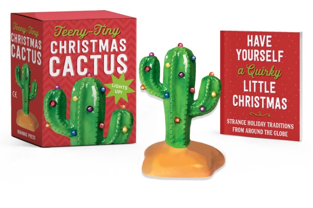 Teeny-Tiny Christmas Cactus