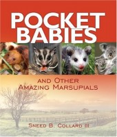 Pocket Babies and Other Amazing Marsupials (Book Cover)