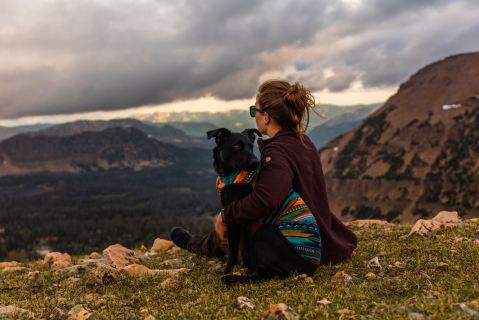 7 Things to Know when Camping with Pets