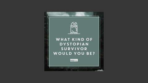 The NOVL Blog, Featured Image for Article: What kind of dystopian survivor would you be?