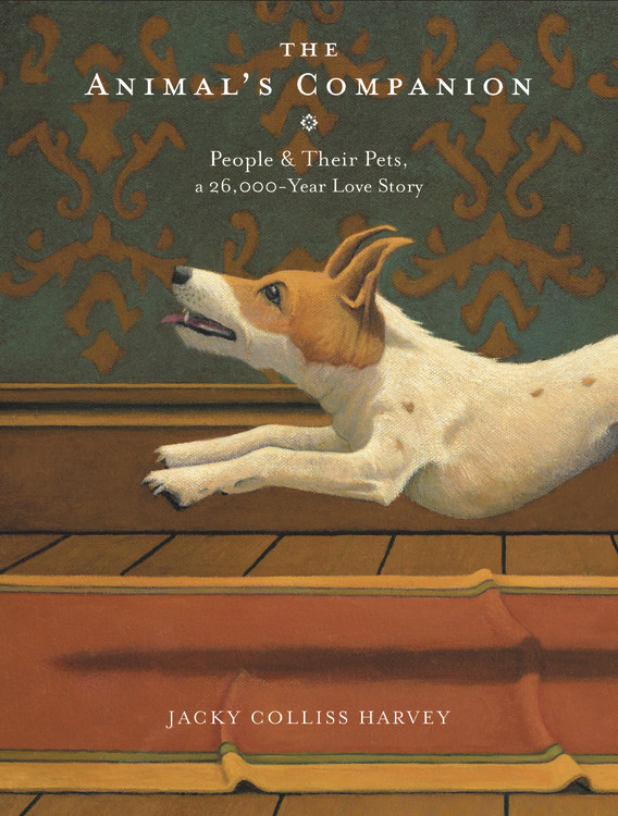 Petite Albino Teen - The Animal's Companion by Jacky Colliss Harvey | Hachette Book Group