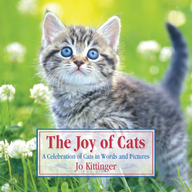 Joy Of Cats