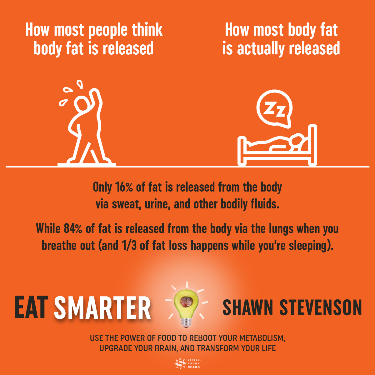 Eat Smarter by Shawn Stevenson Hachette Book Group