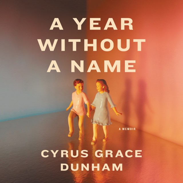 A Year Without a Name