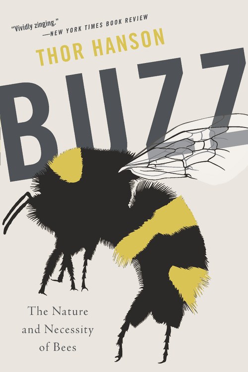 Buzz by Thor Hanson | Hachette Book Group - Vimarsana News