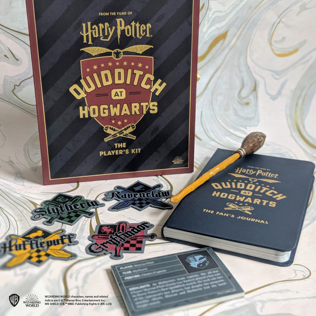 Harry Potter Quidditch at Hogwarts by Donald Lemke | Hachette Book Group