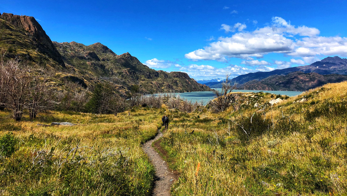 path winding through grass leading to a glacial lake in Patagonia