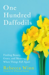 One Hundred Daffodils