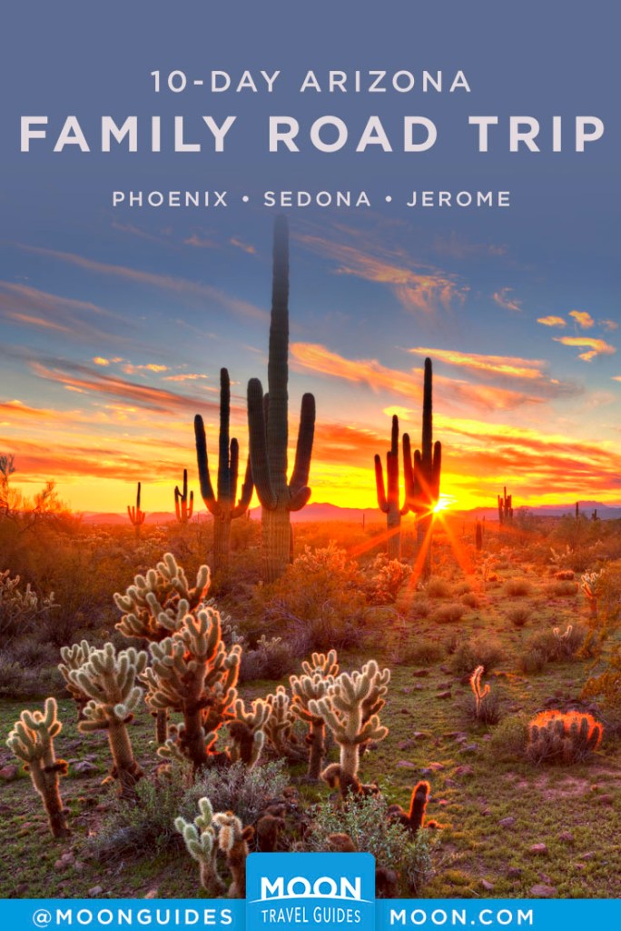 Sun setting in the Sonoran desert, over cactus landscape. Pinterest Graphic.